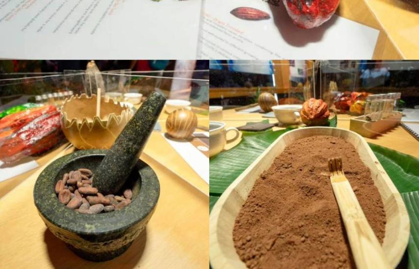 Expo rescata la historia del cacao bocatoreño