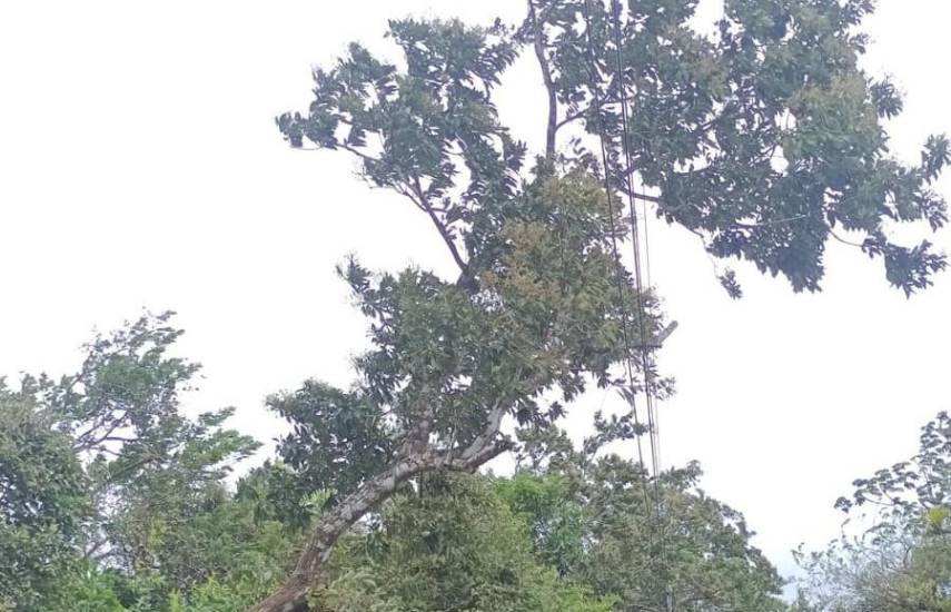 Comunicado Naturgy: Afectaciones por frente frío