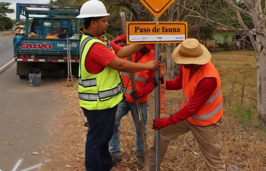 Pasos de fauna silvestre para proteger especies