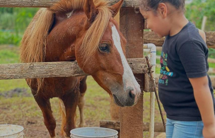 Las fincas agroturísticas integran educación, diversión y naturaleza