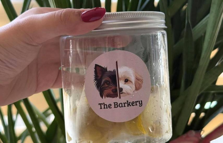 “The Barkery PTY”, emprendimiento que ofrece snacks deshidratados para mascotas