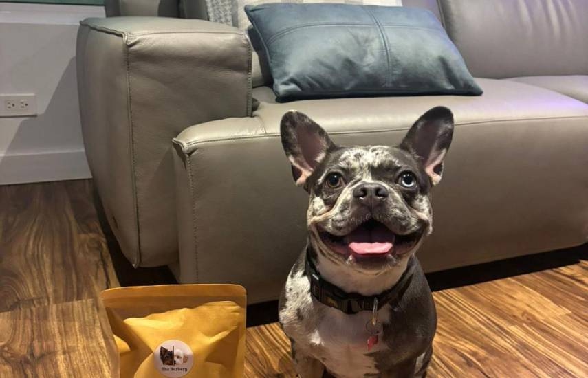 “The Barkery PTY”, emprendimiento que ofrece snacks deshidratados para mascotas