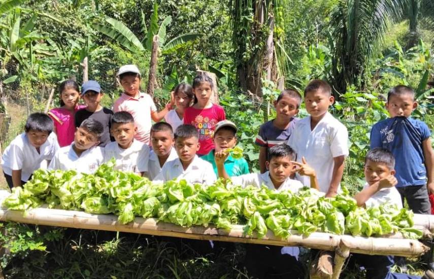 300 centros educativos beneficiados con programa de Huertos Escolares de la Caja de Ahorros