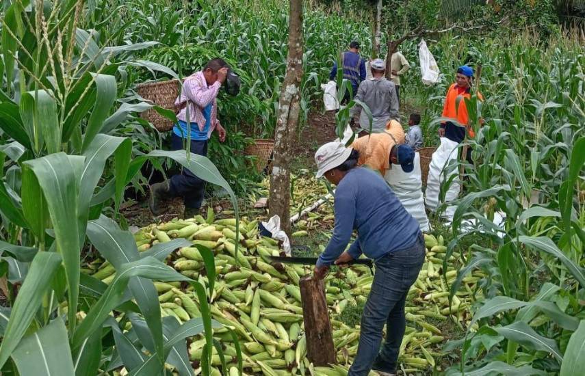 Productores fortalecen la agricultura sostenible