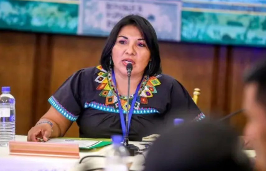 Congreso General destituye a Juliana Santiago y nombra a Faustino Concepción como presidente interino