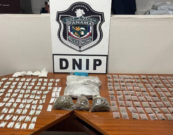 ML | Diversas sustancias ilícitas halladas en Veracruz tras una alerta ciudadana.