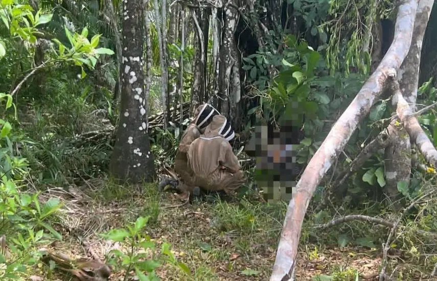Reportan fallecido en Chepo por ataques de abejas africanizadas