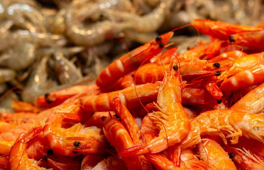 La ARAP anuncia el inicio de la temporada de pesca de camarón 2026