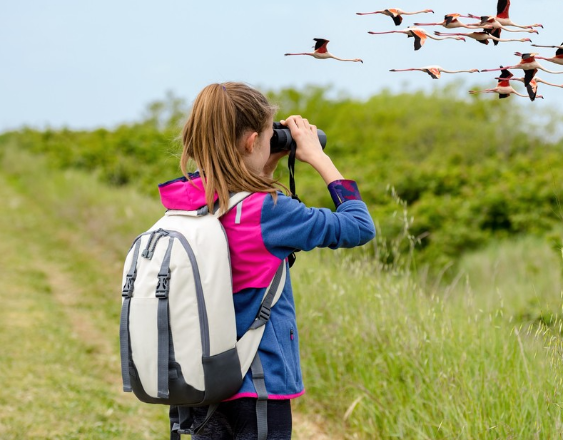 Pexels | Una niña realizando avistamiento de aves.