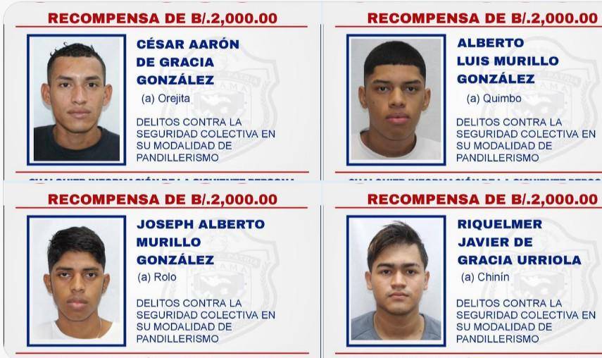 $!Autoridades ofrecen hasta B/. 100 mil por personas vinculadas al pandillerismo