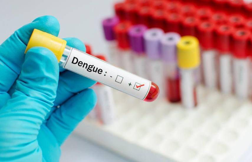 MINSA: Disminuyen los casos de dengue en Panamá