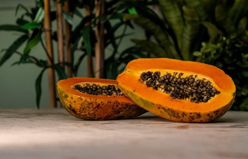 Producción de papaya supera los 850 mil quintales al año