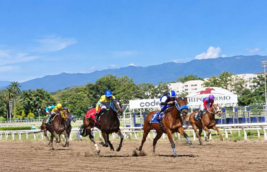 Yeguas criollas chocan en el Clásico Sociedad de Dueños de Caballos