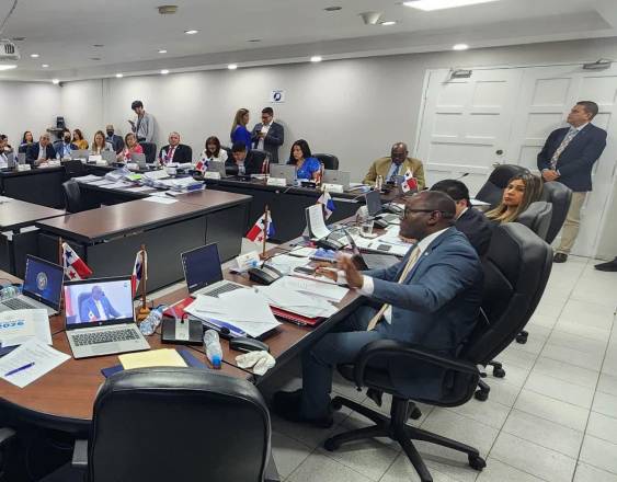 ML | Trabajo en las comisiones de la Asamblea Nacional (AN).