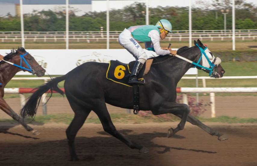 Sol Papa Carlos, mejor dividendo de la jornada dominical
