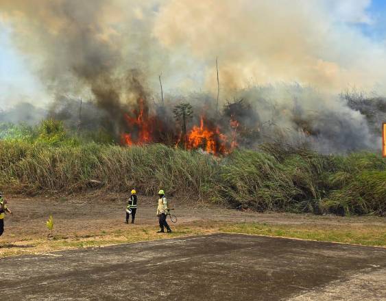 Bomberos se ocupan de fuego en herbazales en la comunidad de Praderas de San Lorenzo