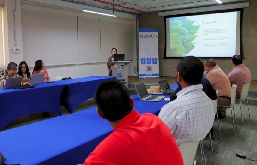 Senacyt y la Fundación Ciudad del Saber trabajan proyecto para salvaguardar los manglares de Panamá