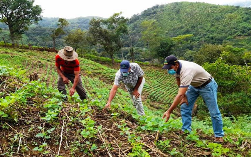 La mina, puertos y agro, claves para generar empleos en Coclé