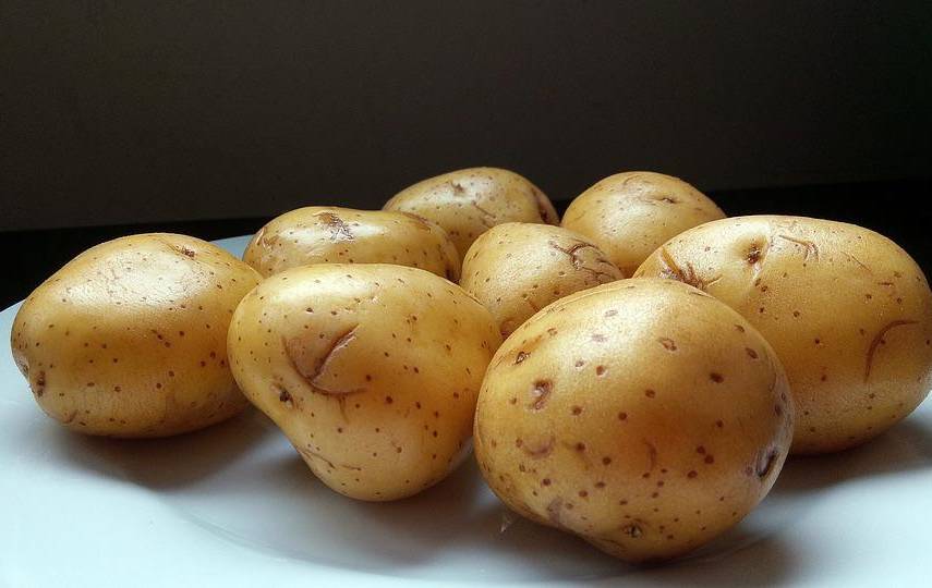 Productores garantizan abastecimiento de papa