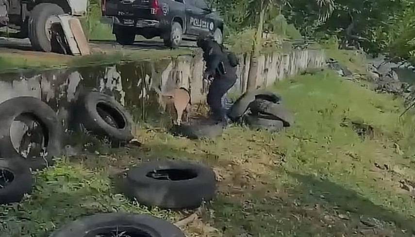 Más de 11 mil municiones de fusil incautadas en Portobelo