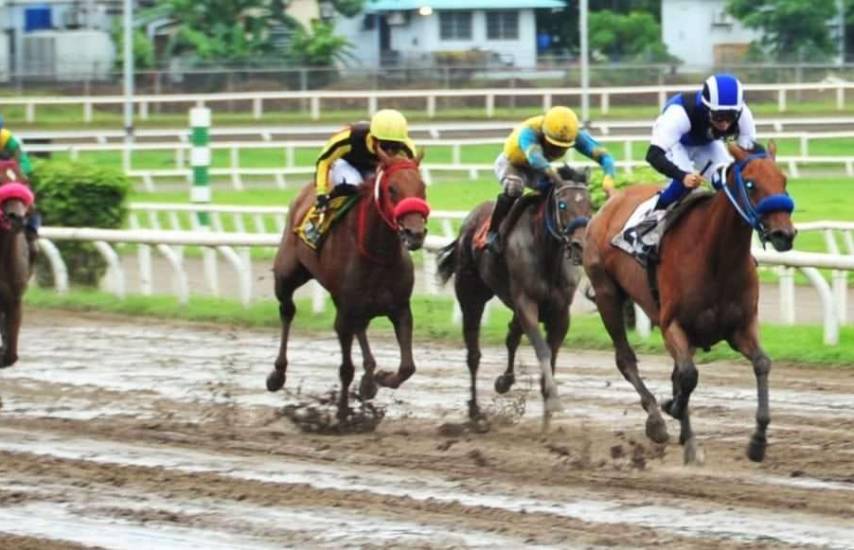 Siete nativas al Clásico José A. Remón