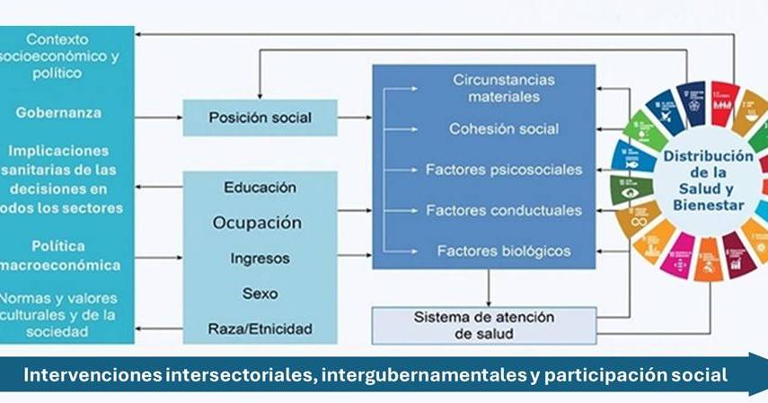 Intervenciones intersectoriales en salud