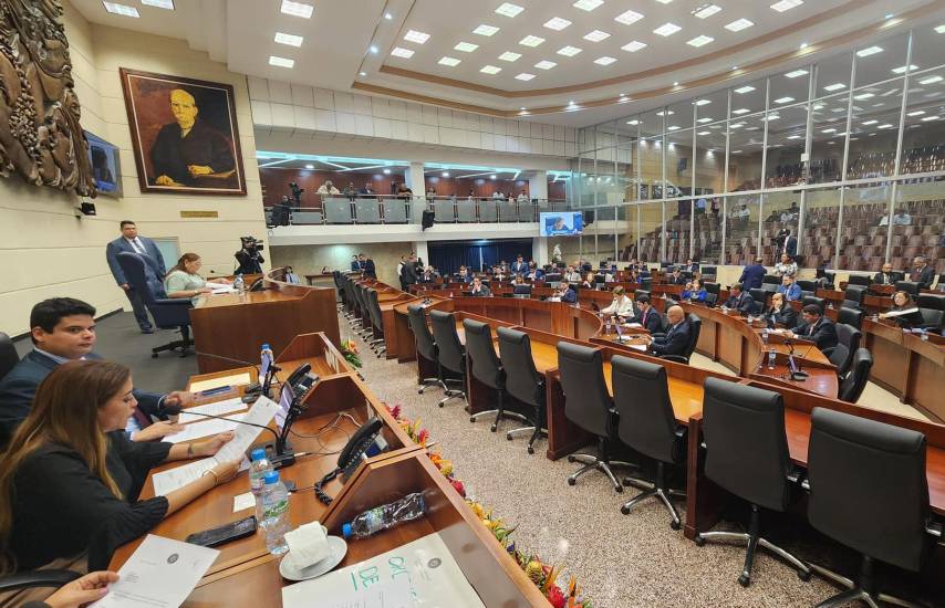 Elección en la Asamblea: poder y alianzas políticas