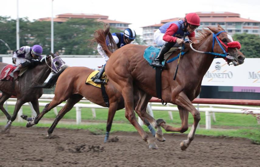 Wonder Lady saca su casta y gana el Clásico Felipe Motta