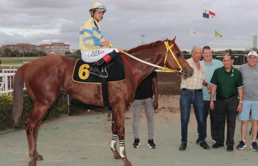 Rococo fue superior en el hándicap SPI