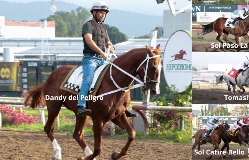 Un dandy se medirá a una reina y ocho machos en clásico