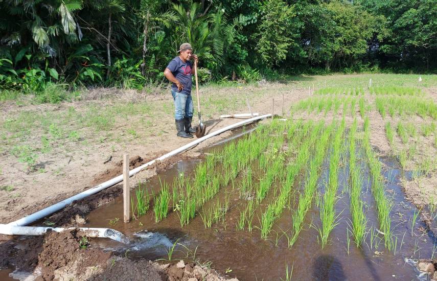Productores adoptan medidas y piden respaldo a las autoridades por sequía