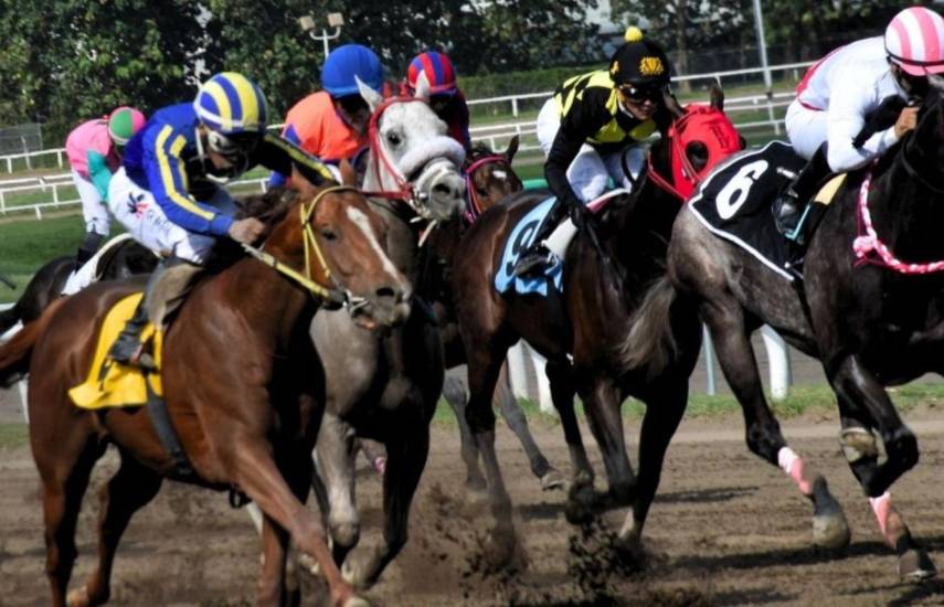 Tomasito llega como favorito al Premio Carlos Espino Guanti