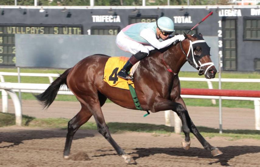 Cholo Moon enfrenta esta tarde a Sol Auyan Tepuy