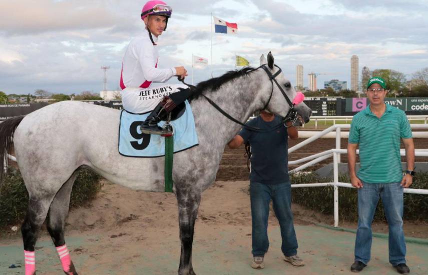 Rococo fue superior en el hándicap SPI