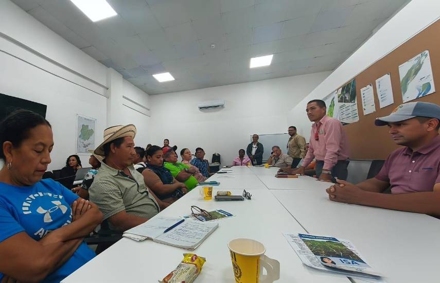 MIDA impulsa producción y comercialización de café robusta en Colón