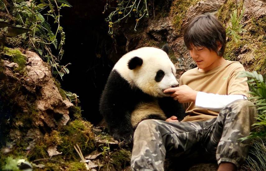 Moon: mi amigo el panda | Es la nueva película de Gilles de Maistre, que sigue la travesía de una niña que entabla un lazo mágico e inesperado con un encantador panda en peligro y juntos emprenden un viaje.