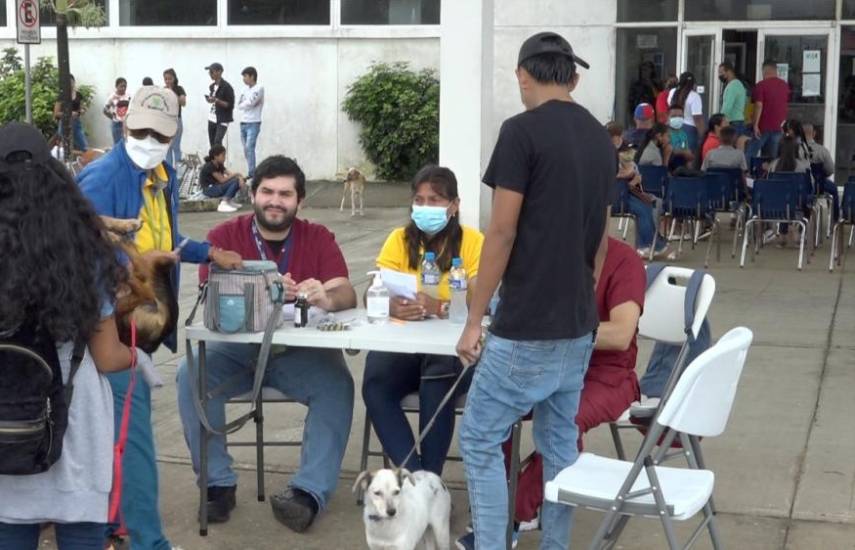 Minsa celebra jornada de bienestar animal en Las Garzas