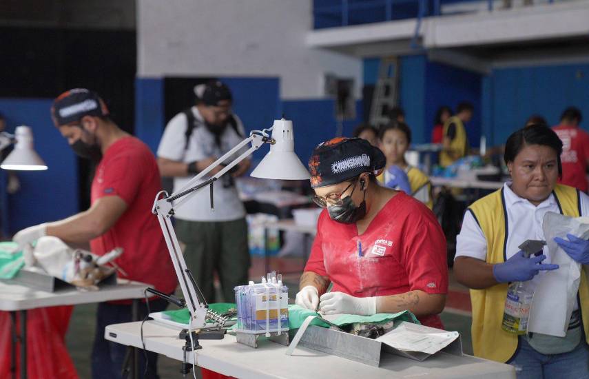 Jornada de esterilización de mascotas supera las 17 mil atenciones