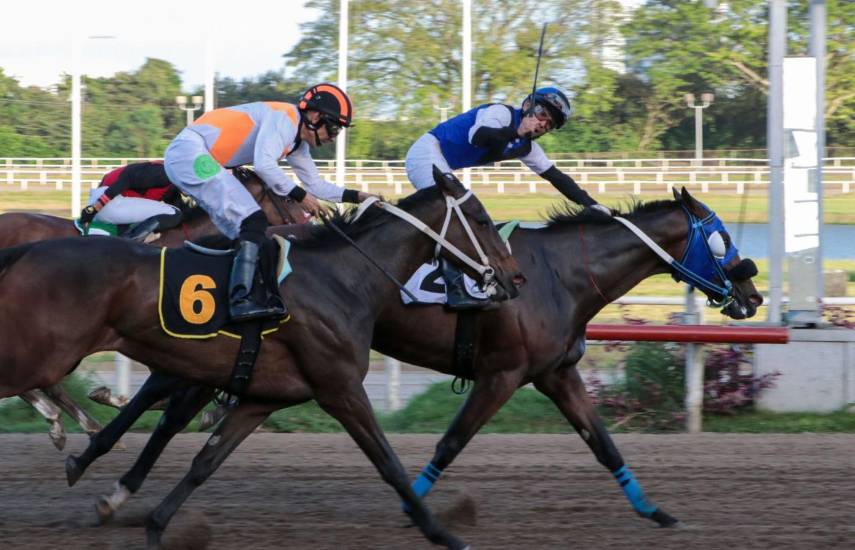 Se enciende la hípica entre Cupido y Carnaval