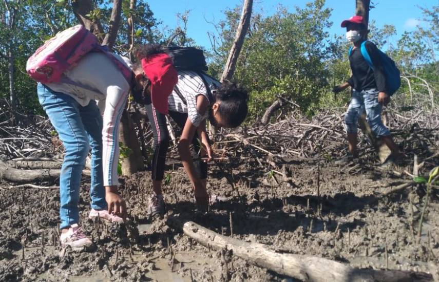Panamá, tercer país en aprobar una propuesta para implementar la educación para el desarrollo sostenible