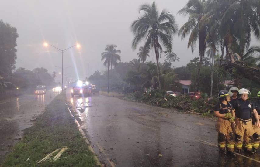 Fuertes lluvias provocan caída de árboles en la frontera y obligan al despeje de vías en Barú