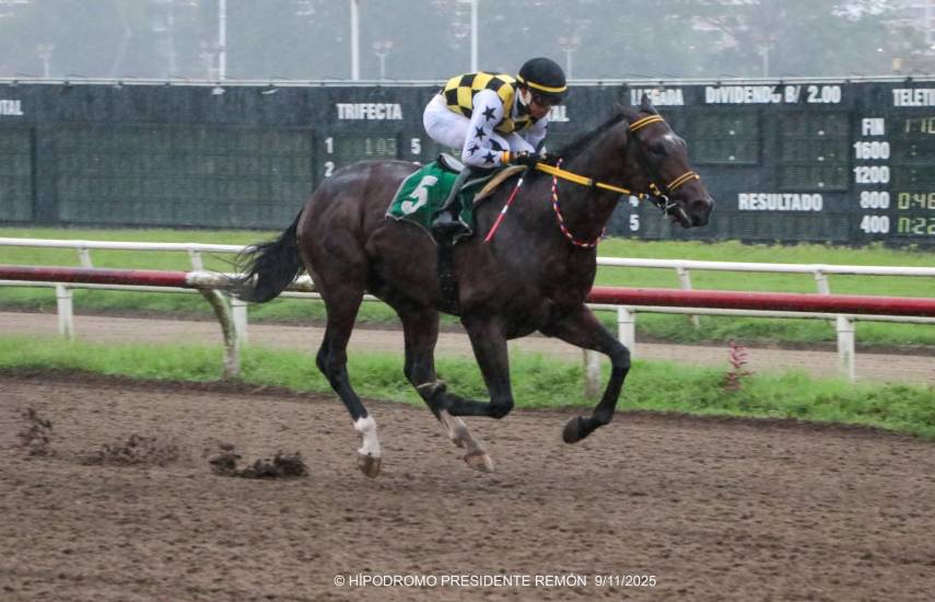 Un argentino reta a ocho americanos