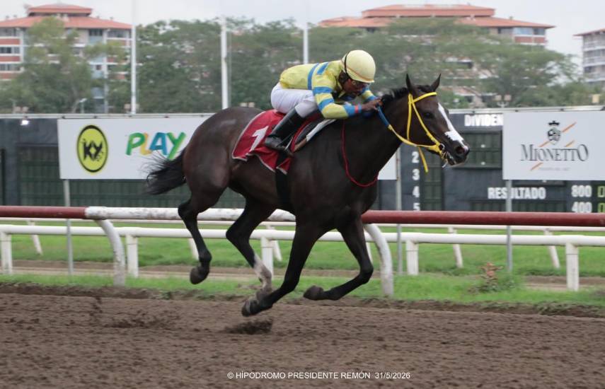 Potrancas criollas tras la segunda Gema