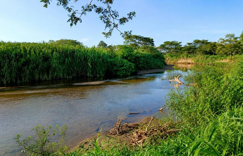 Comunidades de Natá expresan preocupación por proyectos agropecuarios en la cuenca del Río Chico