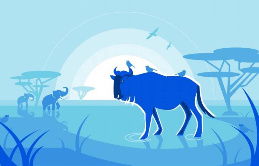 Cloudflare facilita la configuración de un servidor propio en Mastodon con Wildebeest