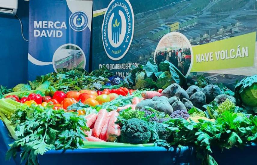 La mejor exposición del sector agrícola regional ofrece la Feria de La Candelaria en Bugaba