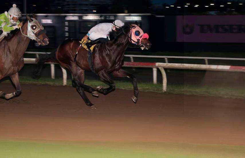 Más de 26 mil dólares en acumulados