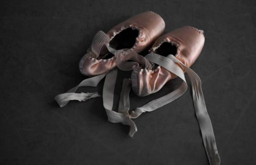 Ópera en Alemania despide a director de ballet que restregó heces de perro a periodista