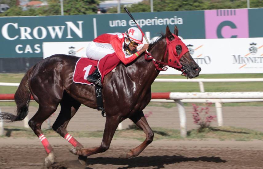 Cholo Moon enfrenta esta tarde a Sol Auyan Tepuy