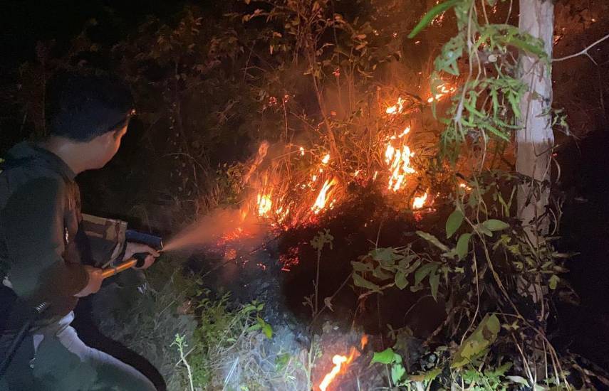 Controlan fuego en Cerro Guacamaya sin mayores afectaciones